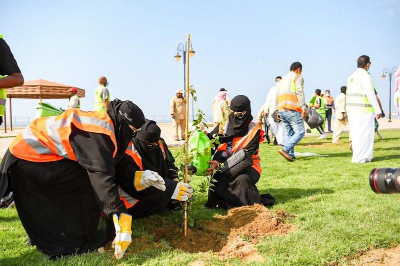 100 متطوع يشاركون أمانة جازان في تنظيف الشواطئ