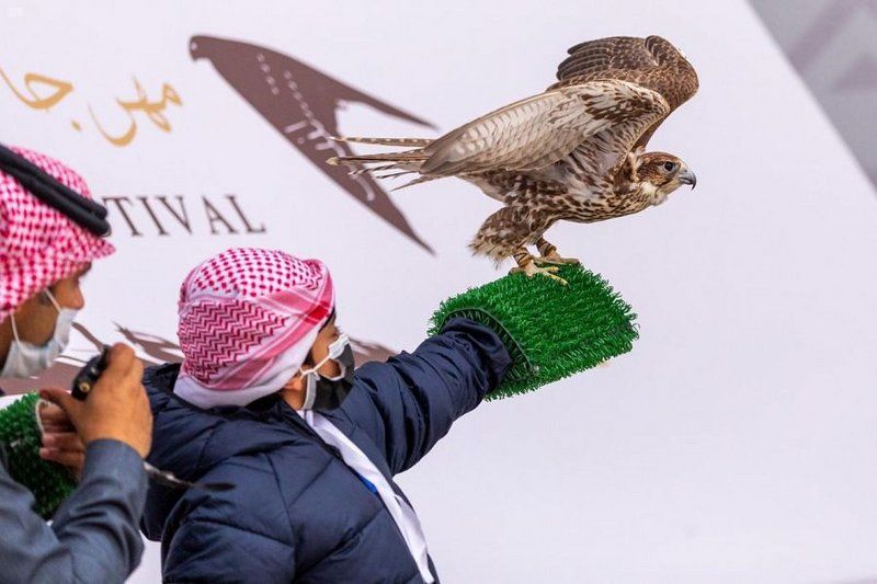 نادي الصقور السعودي يهدي الطفلة 
