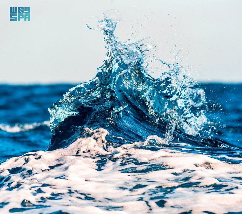 مشروع البحر الأحمر يقدم أنموذجًا عالميًّا في إنتاج المياه باستخدام الطاقة المتجددة