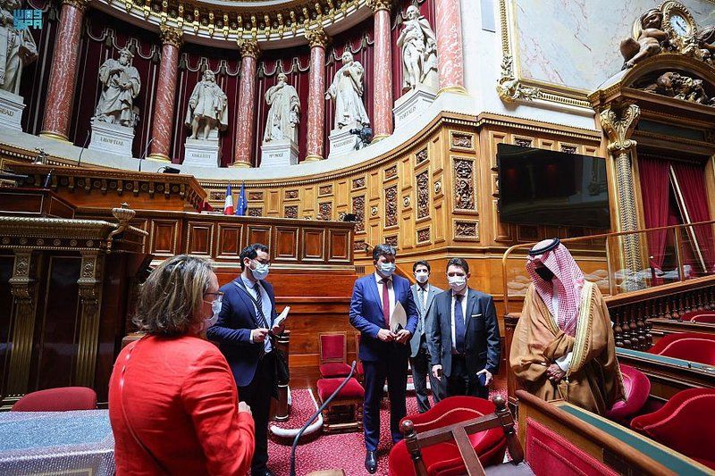 وزير الخارجية يعقد جلسة نقاش مع مجلس الشيوخ الفرنسي