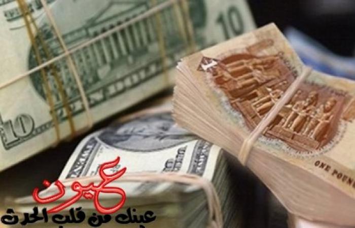 إنهيار سعر الدولار مقابل الجنيه في مصر اليوم 11 فبراير 2017