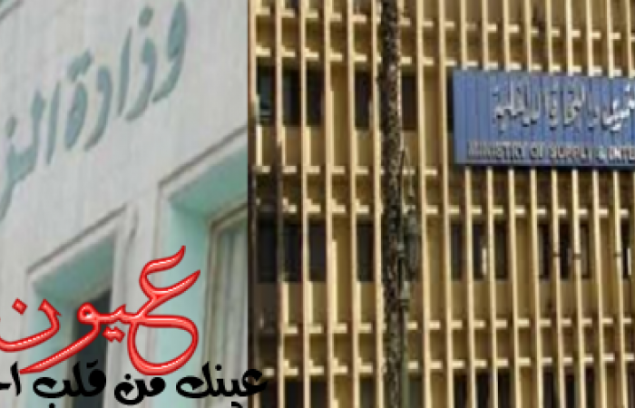 وزارة الزراعة والتموين تطرحان أسماك بأسعار مخفضة لمواجهة الغلاء