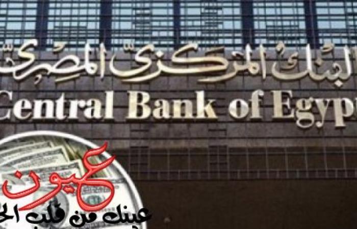 أسعار صرف الدولار الأمريكي اليوم عقب إعلان البنك المركزي عن ارتفاع تحويلات المصريين في الخارج