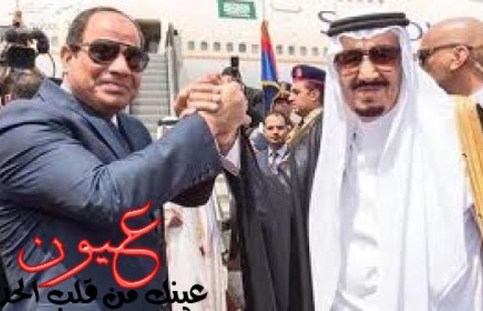 مسئول سعودي سابق يفجر مفاجأة حول سر زيارات الرئيس السيسي لعدة دول عربية