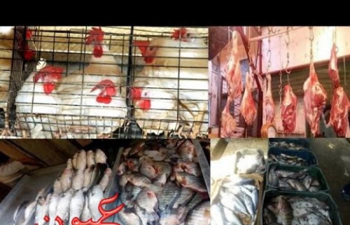 أسعار اللحوم والدواجن والاسماك اليوم السبت 6/5/2017 في الأسواق المصرية