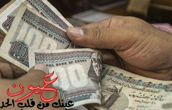 مصادر بـ«المالية» تكشف تفاصيل مشروع تغيير العملة المصرية