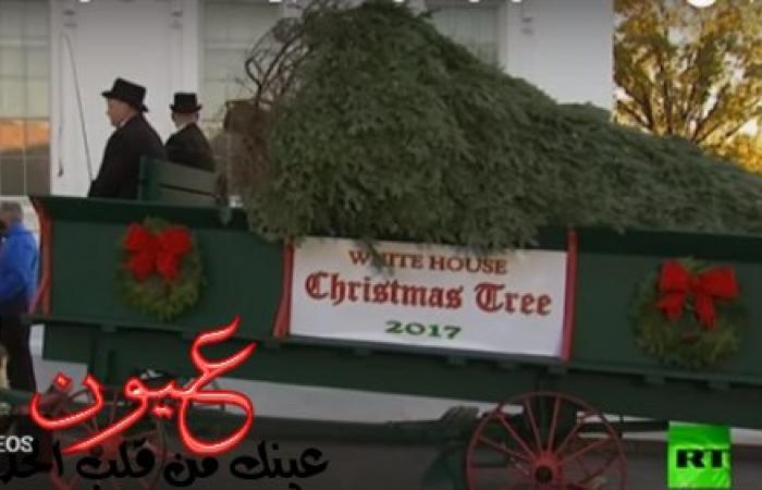 شاهد.. لحظة وصول شجرة الميلاد إلى البيت الأبيض.. وميلانيا ترامب في استقبالها