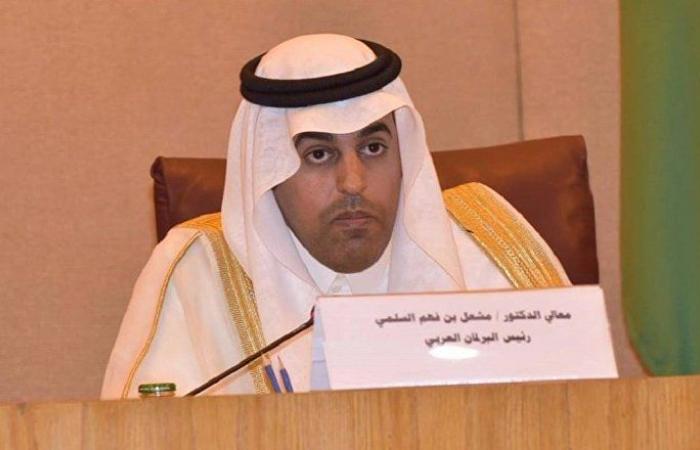 البرلمان العربي: كيان الدول العربية المطلة على البحر الأحمر وخليج عدن خطوة مهمة