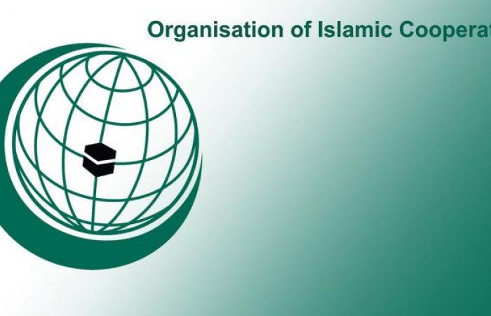 منظمة التعاون الإسلامي تطلق جائزة "السلام" للسينما