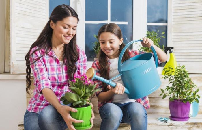 8 تطبيقات تساعدك على الزراعة المنزلية وتجميل حديقتك خلال…