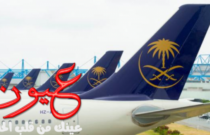 دور قطاع الطيران السعودي في رؤية السعودية 2030