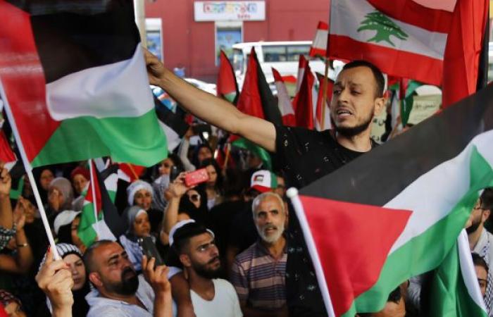 سلطان أبو العينين: قرار وزير العمل اللبناني فيه نكهة ترامب الأمريكية لتهجير الفلسطينيين