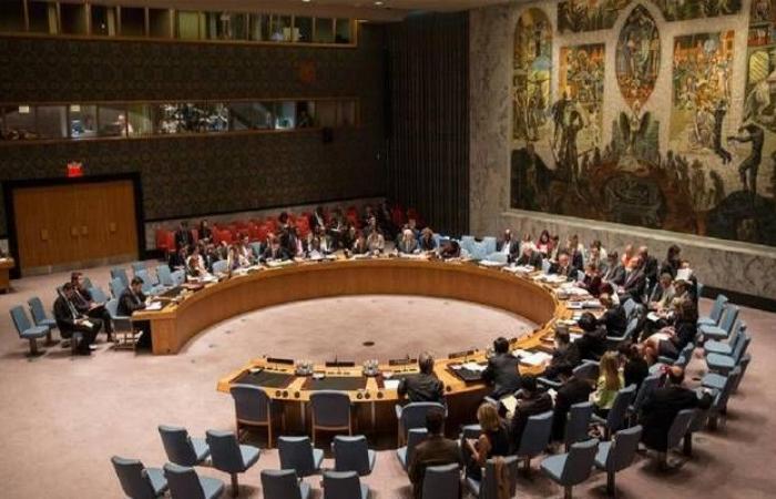 مجلس الأمن يدعو لاستئناف مفاوضات دارفور بعد تشكيل "السيادي السوداني"