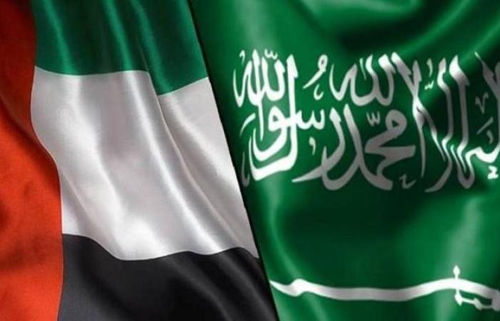 7 لجان لتحقيق التكامل بين السعودية والإمارات بعدة مجالات