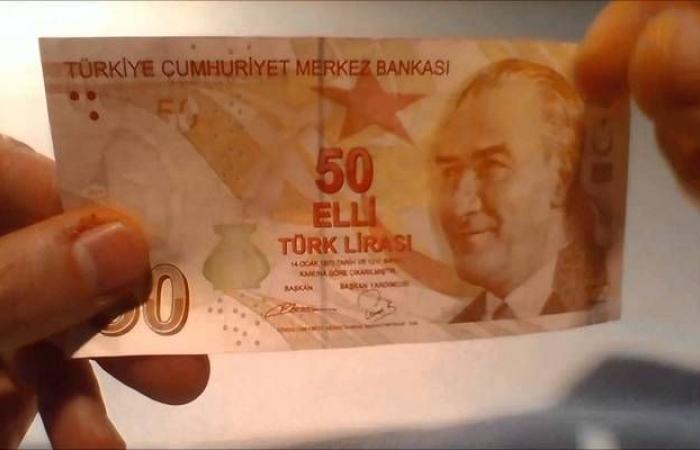 الليرة التركية تتراجع 1% بعد "انهيار لحظي" أمام الدولار والين