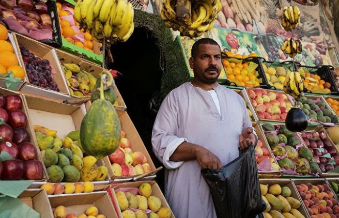 نقيب الفلاحين: مصر تحقق الاكتفاء الذاتي من الخضروات والفواكه