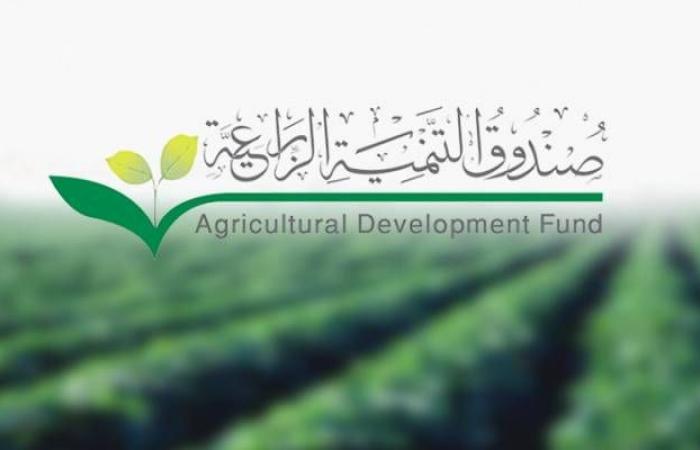 صندوق التنمية الزراعية السعودي يعتمد قروضا بـ1.5مليار ريال حتى سبتمبر