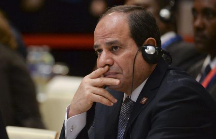 خلال لقائه السيسي... وزير خارجية فرنسا يتحدث عن "الحجم الضخم للمشاريع المصرية"