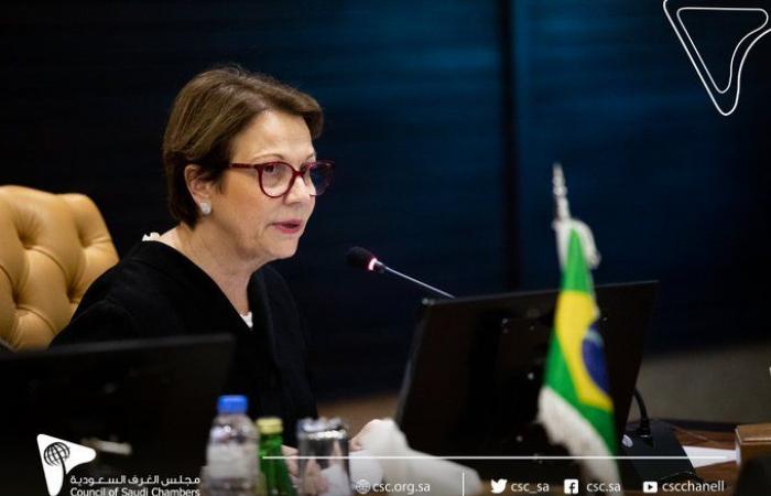 وزير الزراعة البرازيلي: نتطلع لإدخال منتجات جديدة للسوق السعودي