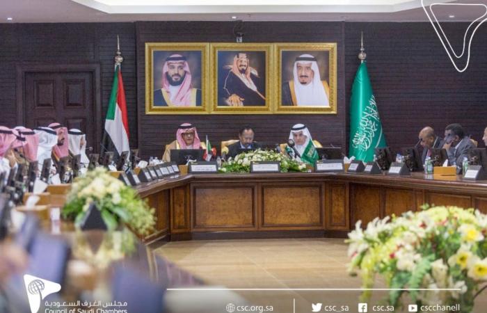 السعودية: السودان من الدول المستهدفة لتعزيز التعاون ضمن رؤية 2030