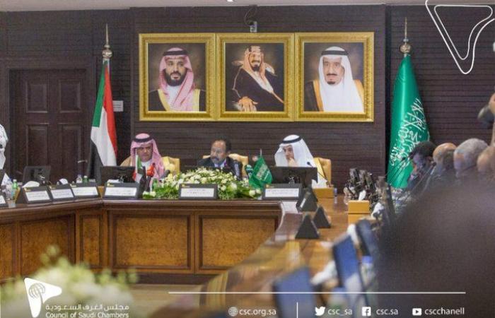 السعودية: السودان من الدول المستهدفة لتعزيز التعاون ضمن رؤية 2030