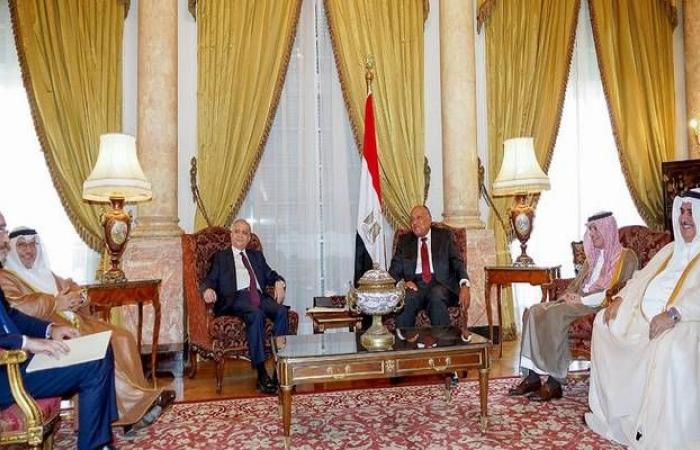 محدث..6 وزراء عرب يناقشون تطورات العدوان التركي على سوريا