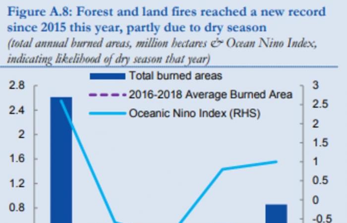 البنك الدولي: حرائق الغابات بإندونيسيا تكلف الاقتصاد 5.2 مليار دولار