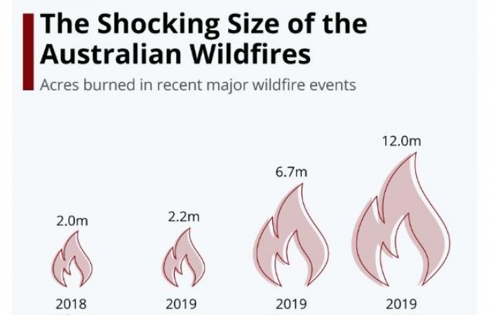 حرائق الغابات في أستراليا: 5 حقائق عن الكارثة
