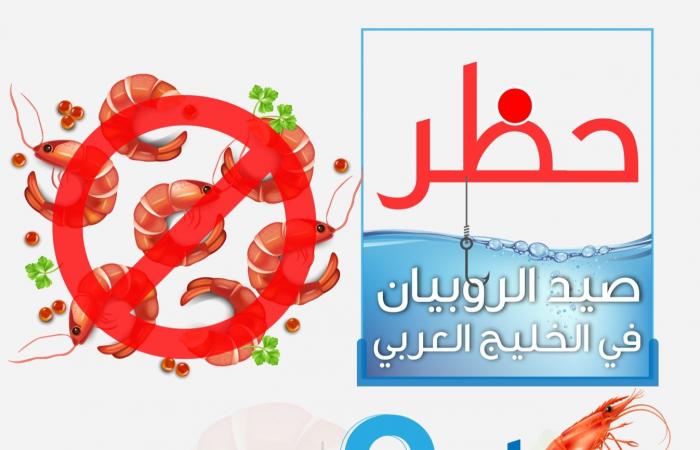 وزارة البيئة السعودية تُعلن حظر صيد الروبيان بساحل الخليج العربي