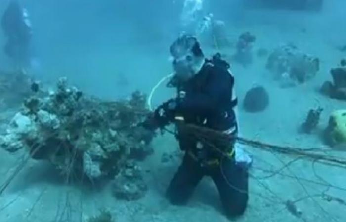 بالفيديو : الملك وولي العهد يشاركان بتنظيف قاع البحر في العقبة
