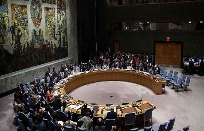 روسيا تمنع مجلس الأمن من إقرار وقف إطلاق نار بإدلب