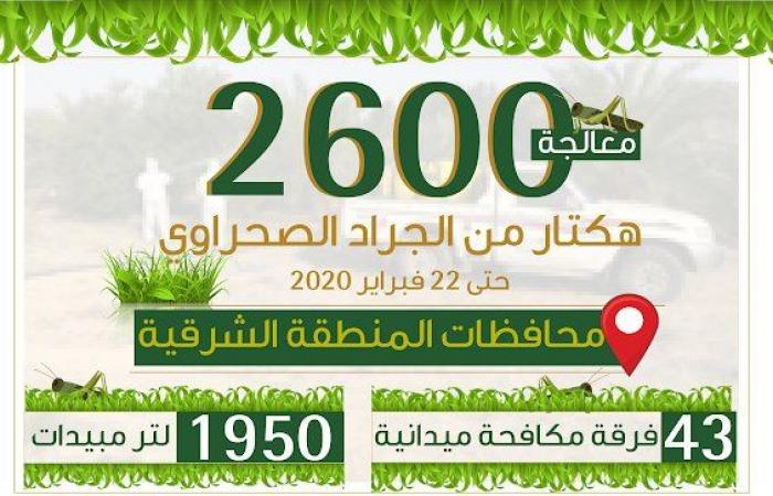 البيئة السعودية تعالج 2600 هكتار من الجراد الصحراوي