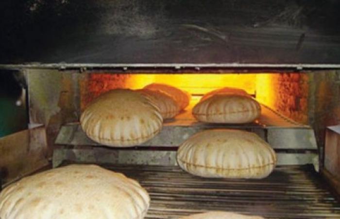 اللوزي: آلية توزيع الخبز تضمن وصوله لكافة مناطق المملكة