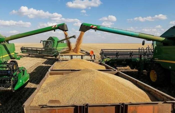الحبوب السعودية تعلن بدء موسم استلام القمح المحلي لعام 2020