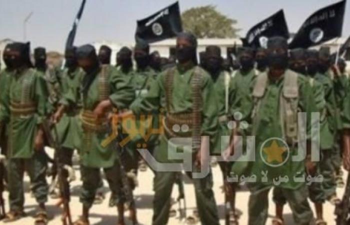 مقتل 4 عناصر من “الشباب الإرهابية” جنوبي الصومال