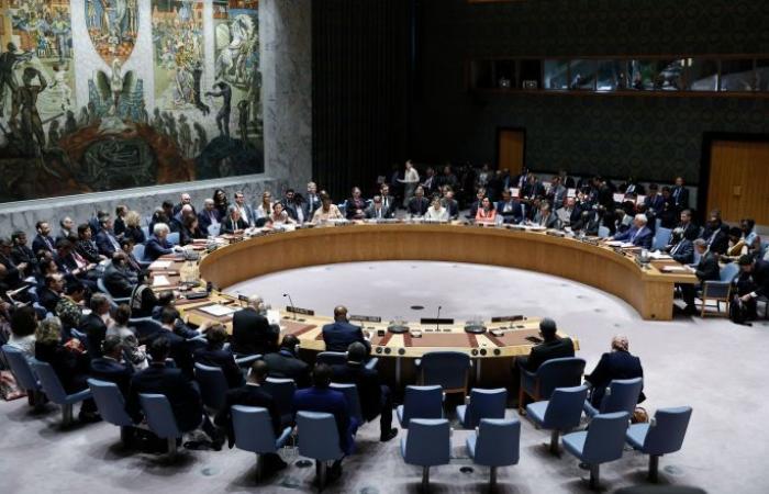 مجلس الأمن يرحب بدعوة وقف إطلاق النار في اليمن ويدعو للإسراع في تنفيذها