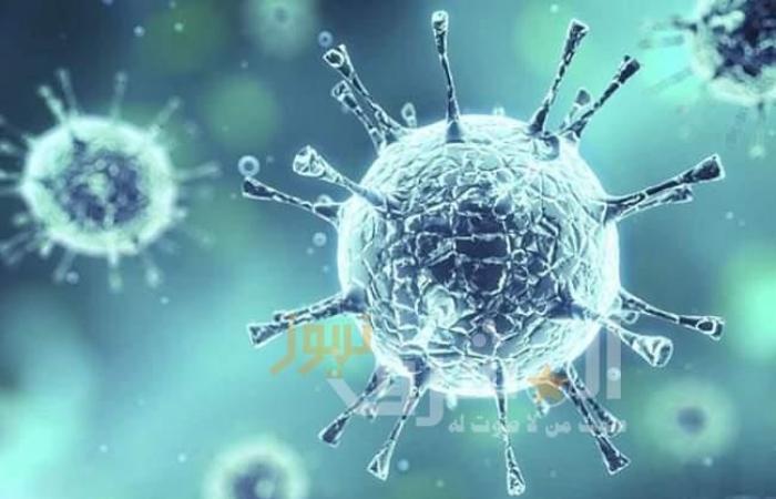 تعافي 156 حالة من فيروس كورونا بدمياط