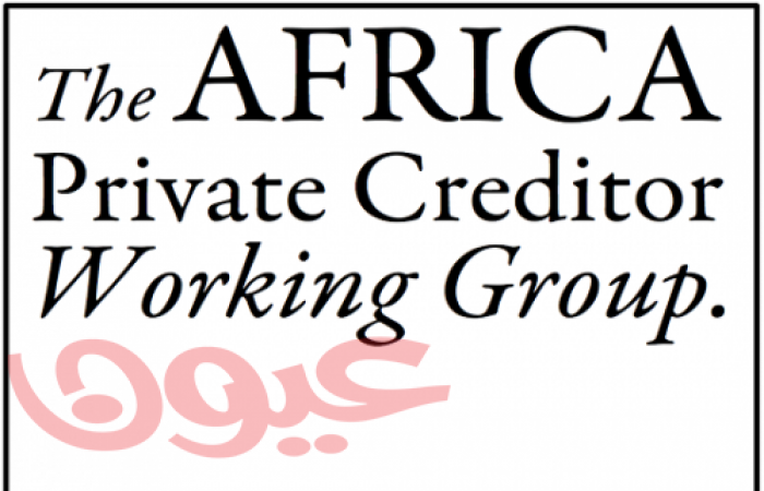 الدائنون في القطاع الخاص يؤسسون مجموعة عمل الدائنين من القطاع الخاص في أفريقيا (أفريكا بيه سي دبليو جي  أو المجموعة)