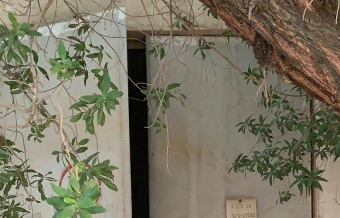 الرياض.. القبض على عصابة الـ 10..  83 جريمة سرقة للقواطع والكيابل الكهربائية