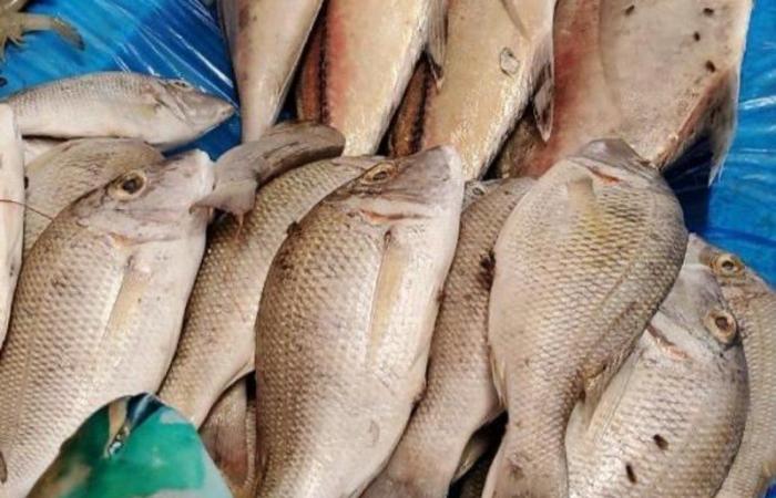 "أمانة جدة" تُغلق سوق أسماك لعدم توافر الإجراءات الاحترازية والوقائية