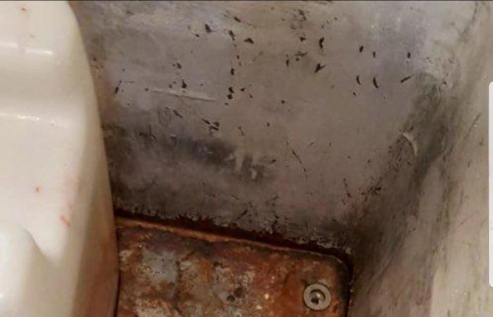 الحشرات ومخالفات التجهيزات تغلق 18 منشأة غذائية بـ"عمرة مكة"