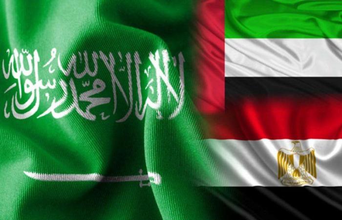 صحيفة: السعودية والإمارات ومصر تجمعها مسؤولية كبيرة تجاه المنطقة