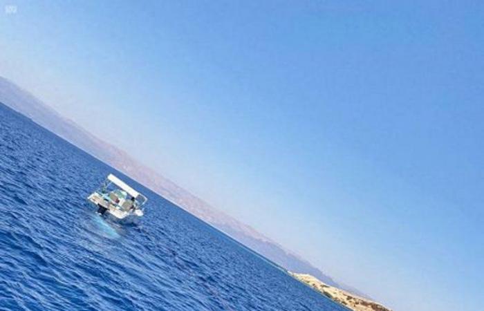 على شاطئ الوصل.. انطلاق فعاليات مهرجان "صيف حقل أحلى" للرياضات البحرية