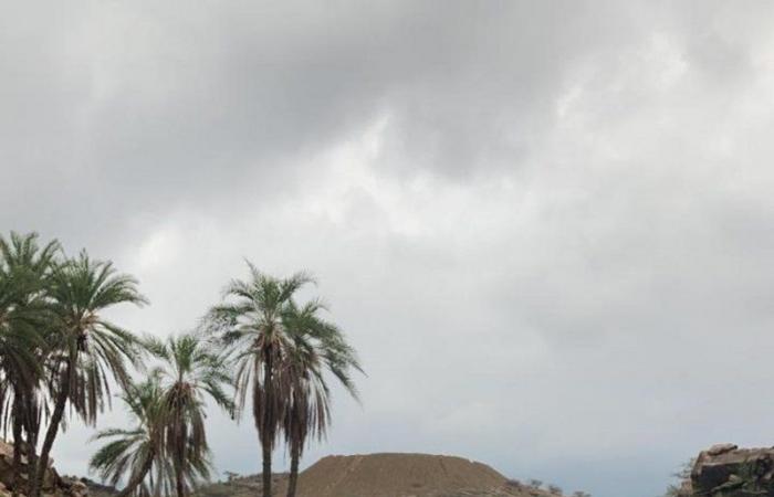 بالفيديو.. السيول تحتجز سكان قرية الفريشة بمحايل وتلتهم السيارات
