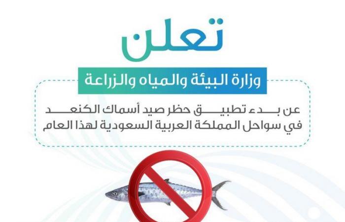 "البيئة": بدء تطبيق حظر صيد "الكنعد" بسواحل المملكة ابتداءً من السبت المقبل ولمدة شهرين