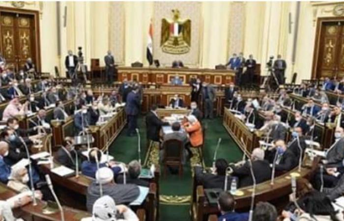 رئيس بعثة الجامعة العربية: استحقاق مجلس الشيوخ بمصر جرى في مناخ آمن ومنظم