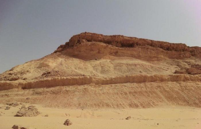 شاهد .. "جبال الرشراشية" بالقريات: 37 مليون سنة من التاريخ المنسي والمكتشف سعوديًا