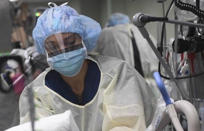 بلجيكا: 544 إصابة بفيروس كورونا
