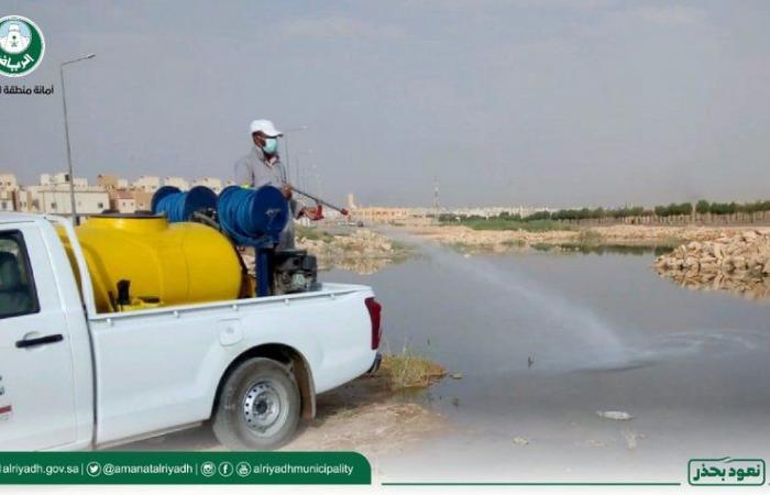 الرياض في 14 يوماً.. ٧٤٤ جولة لمكافحة الحشرات ومعالجة المستنقعات