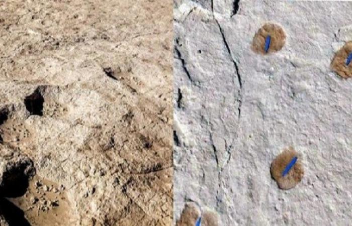 اكتشاف آثار أقدام متحجرة لإنسان تعود لأكثر من 120 ألف سنة شمال المملكة